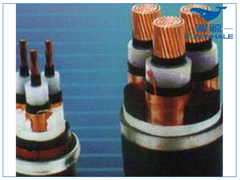 河南太平洋電纜淺談想要家裝電線不被坑，那就看好這五步